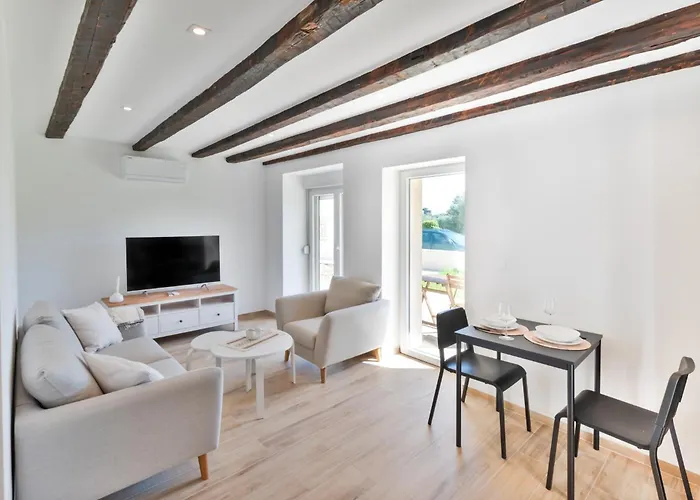 Apartman Basic Old House Vir